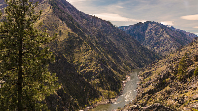 Maine's Salmon River