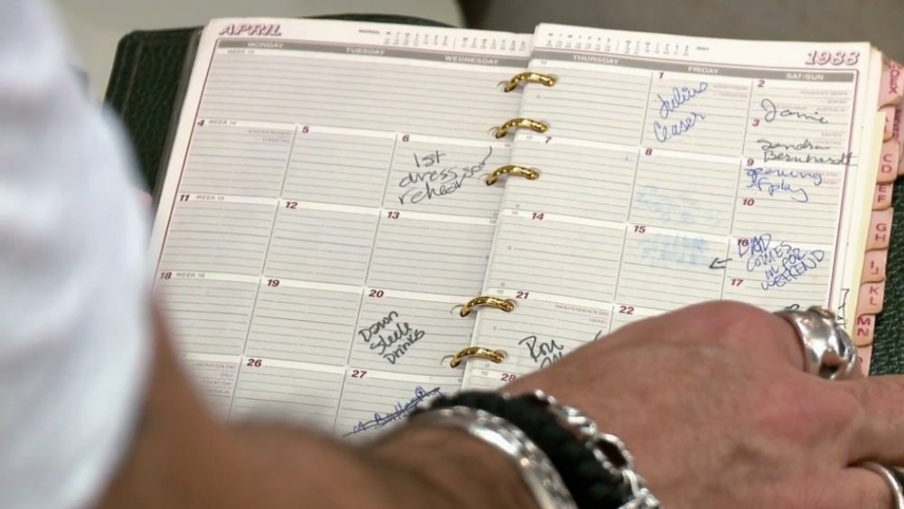 Pawn Stars Madonna planner