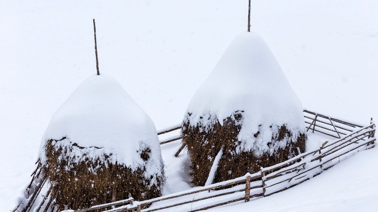 snow-covered haystacks