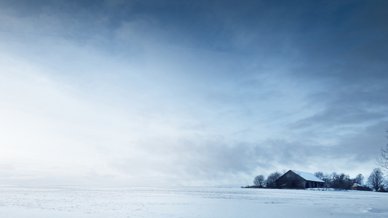 snow-covered field with barn