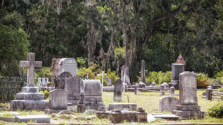 Bonaventure Cemetery