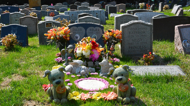 Hartsdale Pet Cemetery