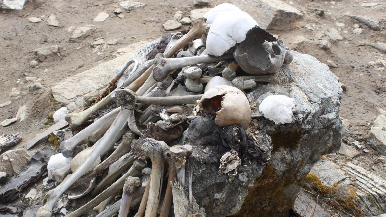 Roopkund bones