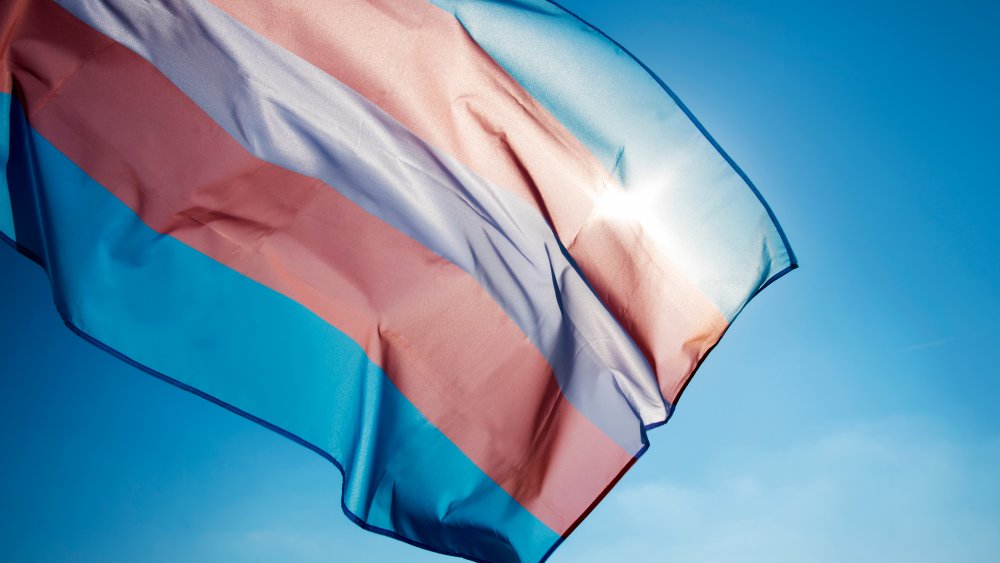 transgender flag