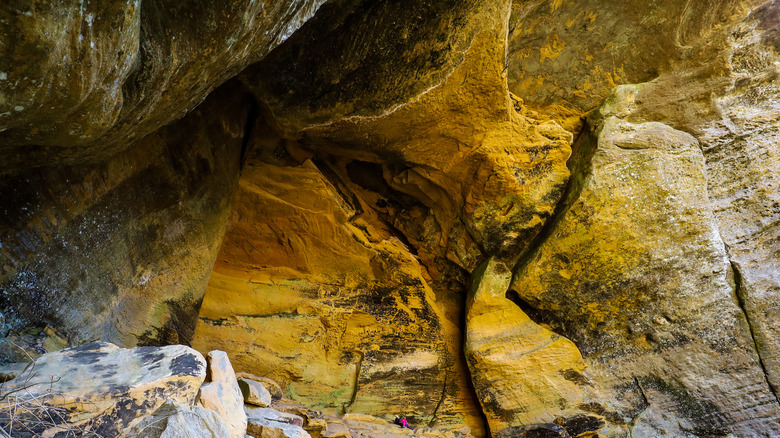 cave art Morgan cave Kentucky