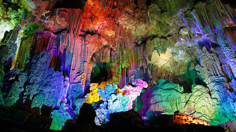 reed flute cave neon lights