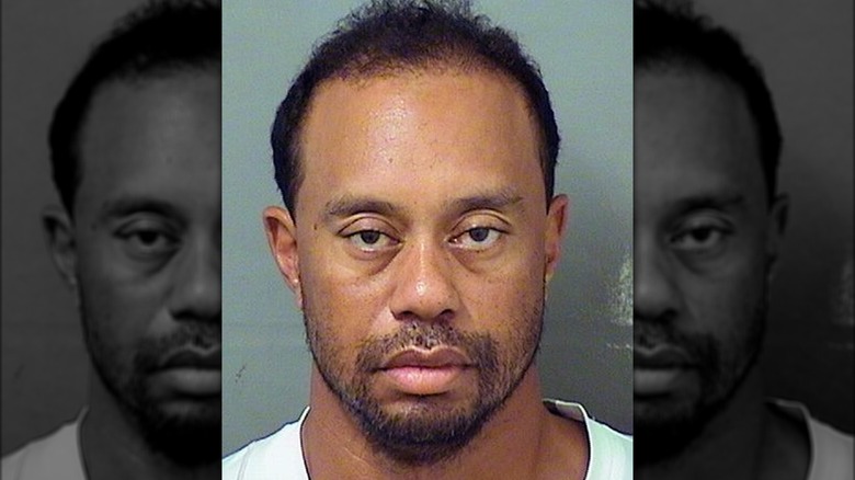 Tiger Woods mugshot