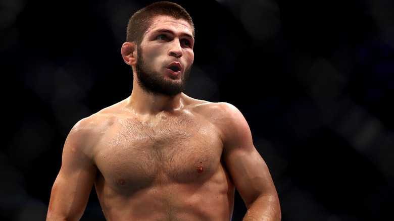 Khabib Nurmagomedov in the ring