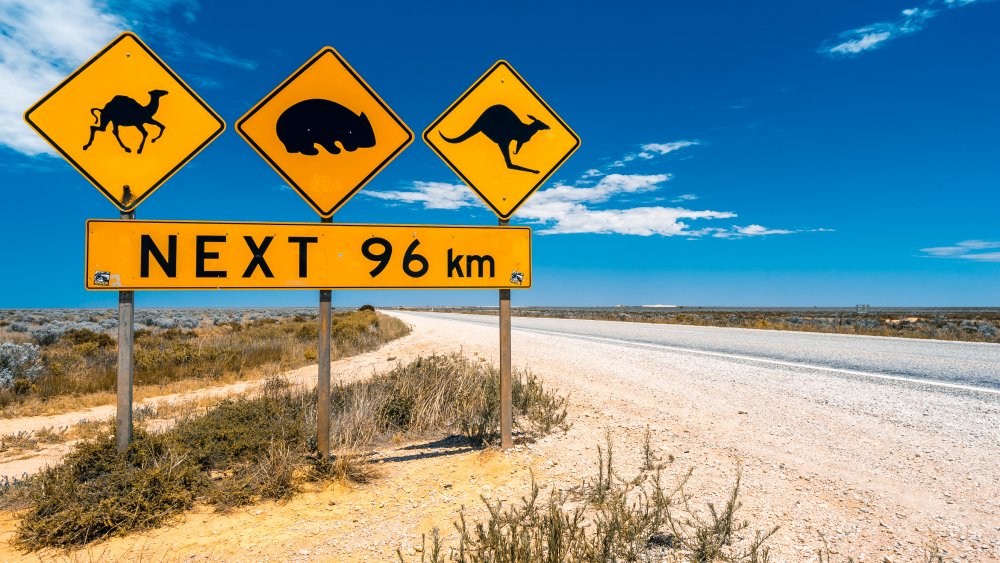 Nullarbor Plain