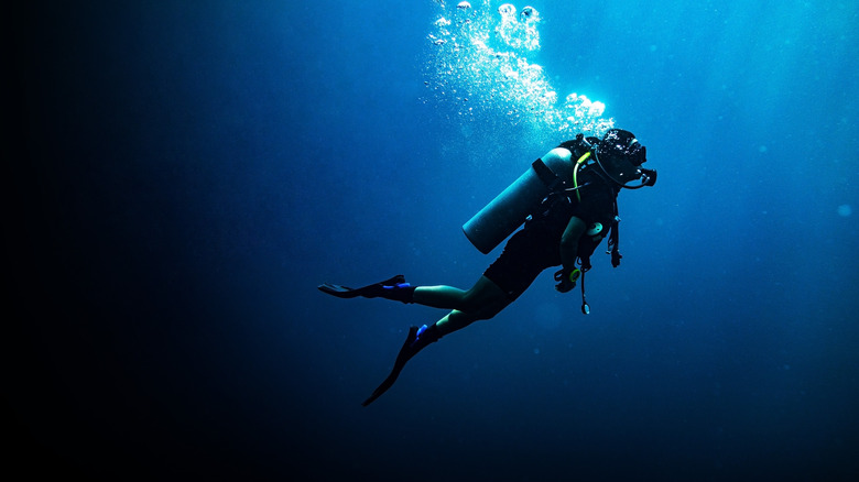 Sea diver under water