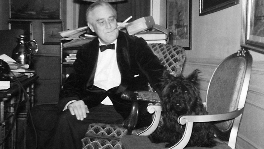 Franklin D. Roosevelt and Fala