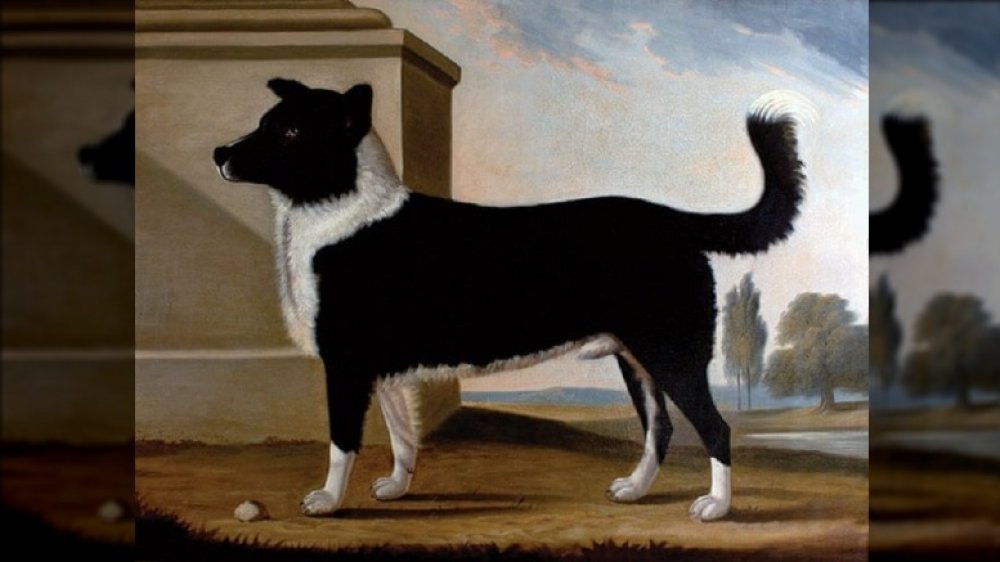 Lord Byron's dog Boatswain