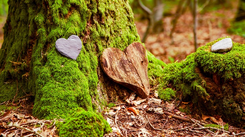 Memorial in forest