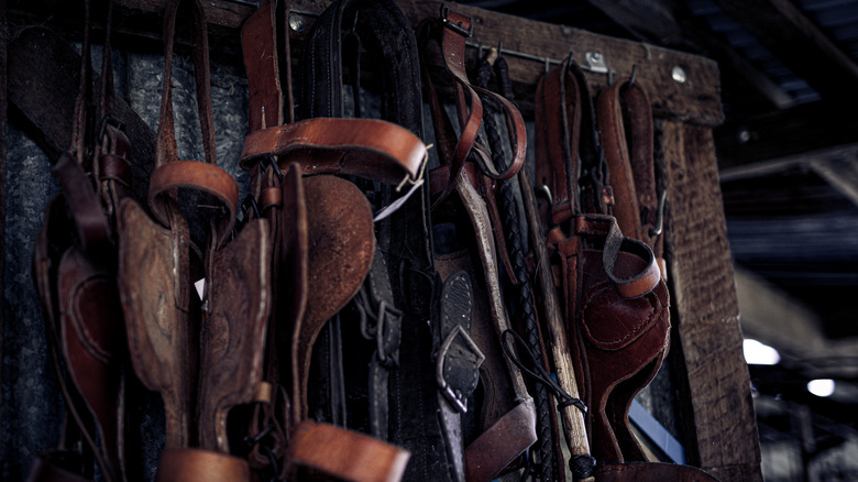 leather equipment hanging in stable