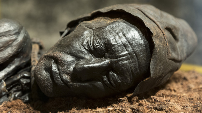 Tollund man face closeup