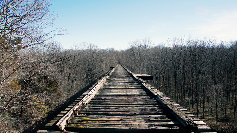 Monon High Bridge in forest