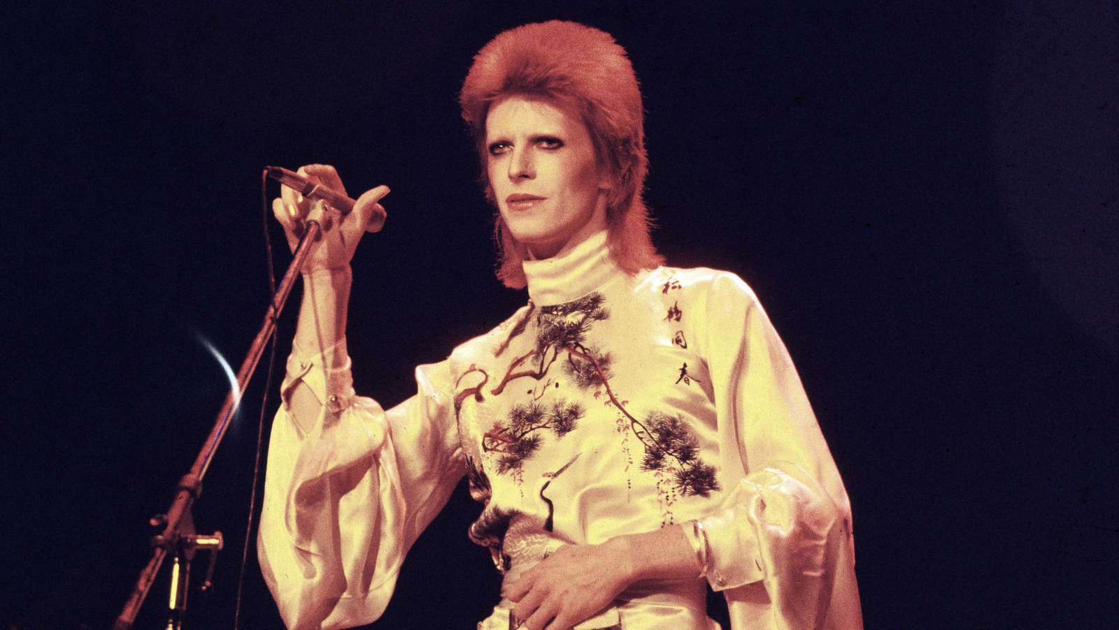 David Bowie Glam Rocker Costume Wig