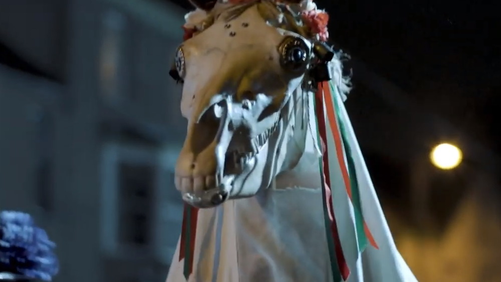 Mari Lwyd