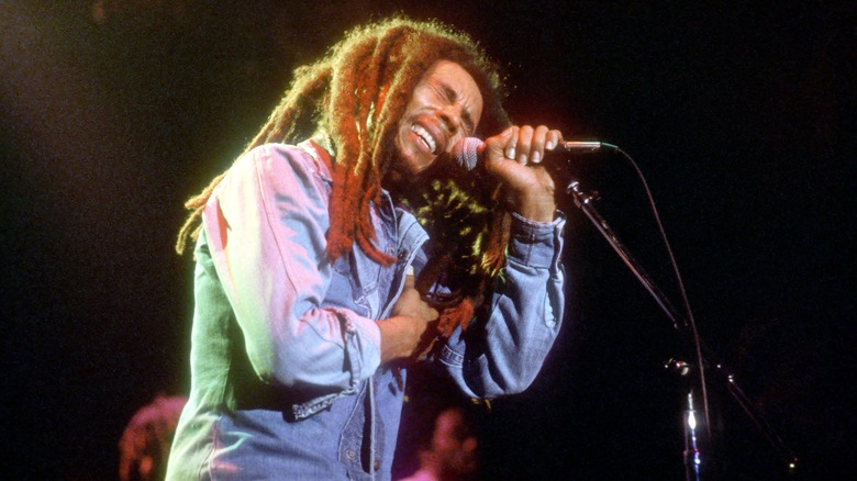 Bob Marley singing microphone stand
