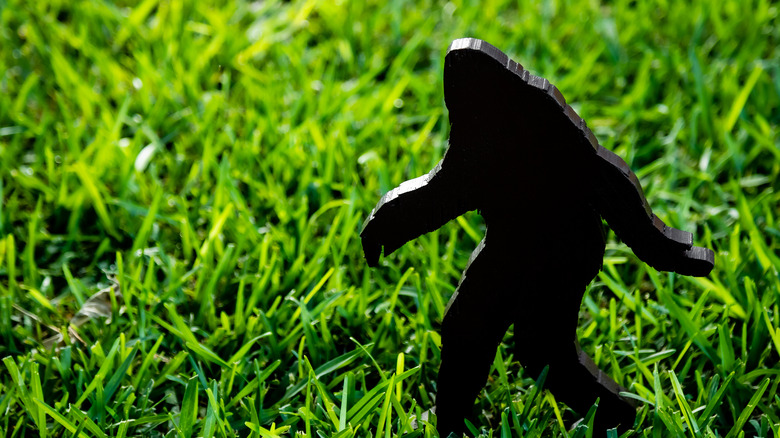 Bigfoot silhouette on grass