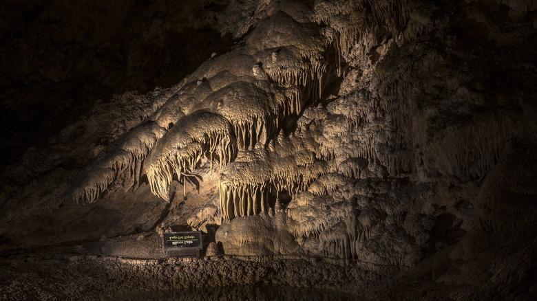 Carlsbad Caverns National Park