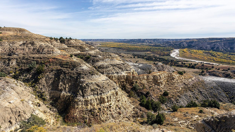 Theodore Roosevelt National Park