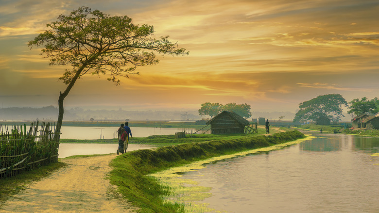 Bangladeshi village at sunset