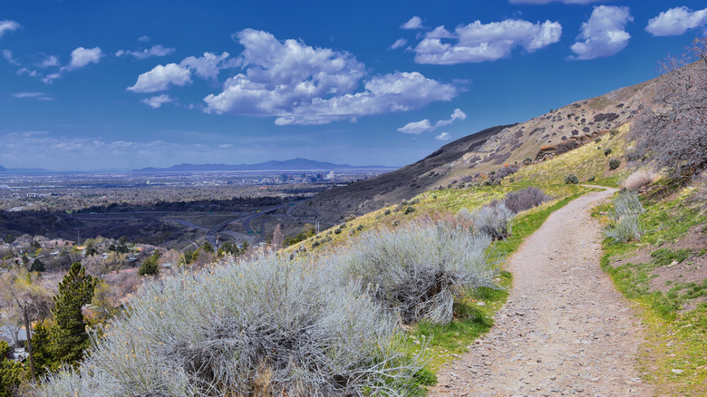 Wasatch Mountains by Salt Lake City Utah