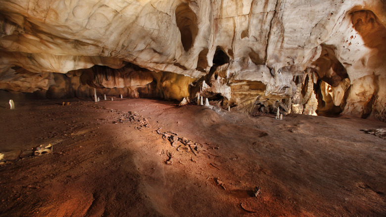 chauvet cave replica