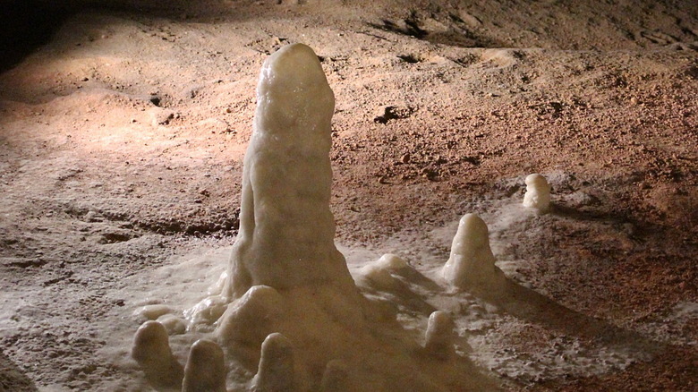 chauvet cave replica stalagmite