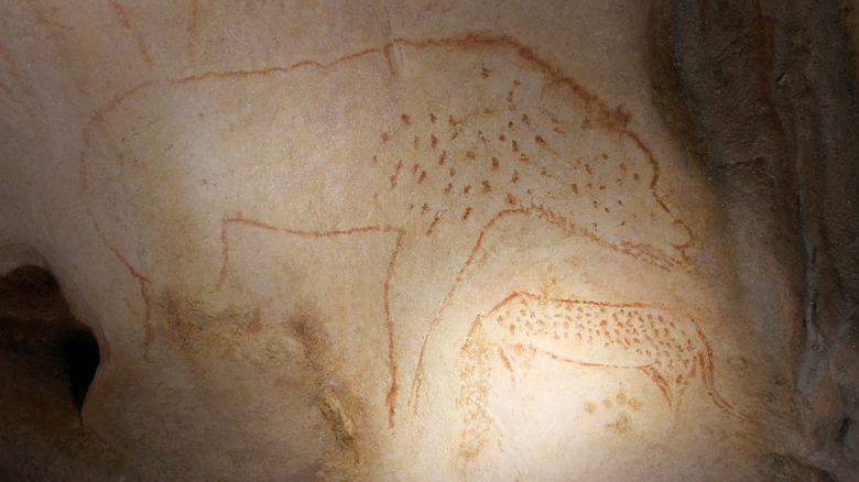 panther bear image in chauvet