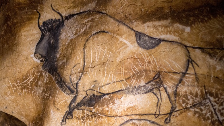 bison image in chauvet