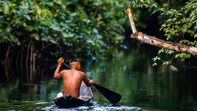 person boat amazon jungle
