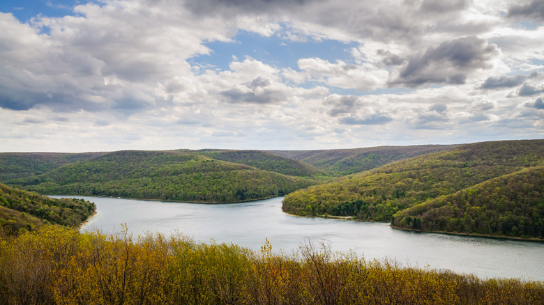 Allegheny National Forest, Pennsylvania