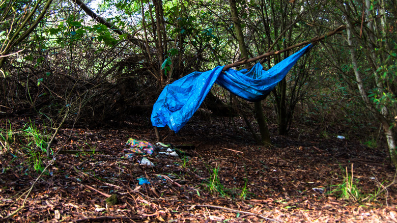 Abandoned campsite