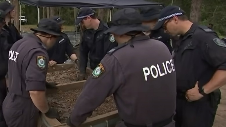 Police search for William Tyrrell