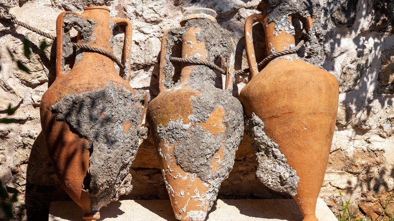 Amphorae with barnacles 