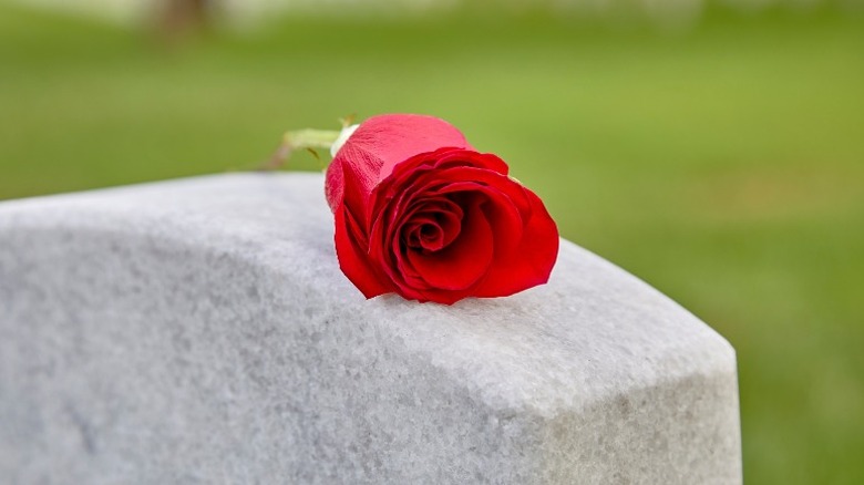 headstone with a red rose