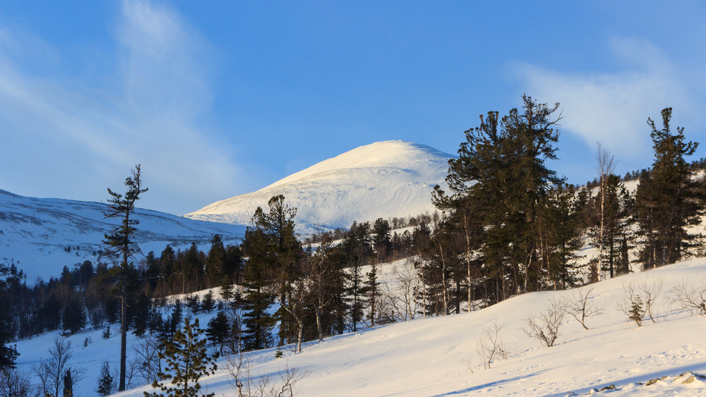 Ural mountains