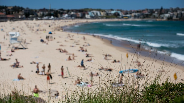 Bondi beach