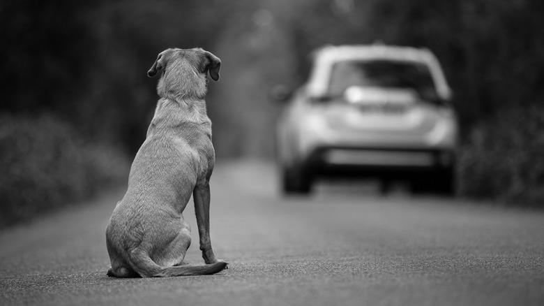 Car abandoned on road