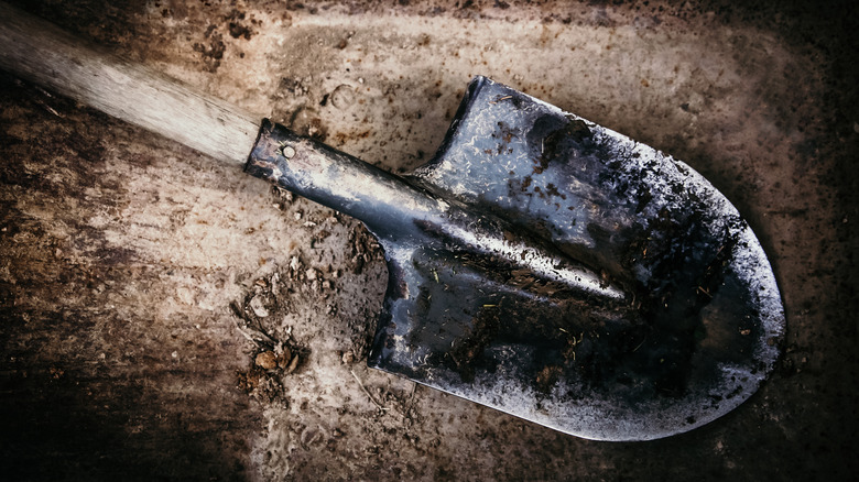 Shovel in dirt