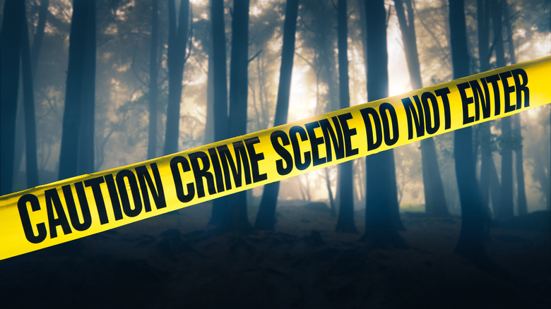 crime scene tape in woods 