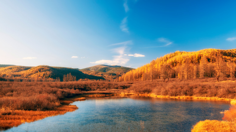 Burkhan Khaldun mountain in Mongolia