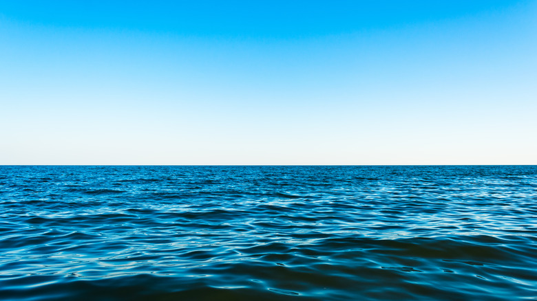 The sea in daylight against blue sky