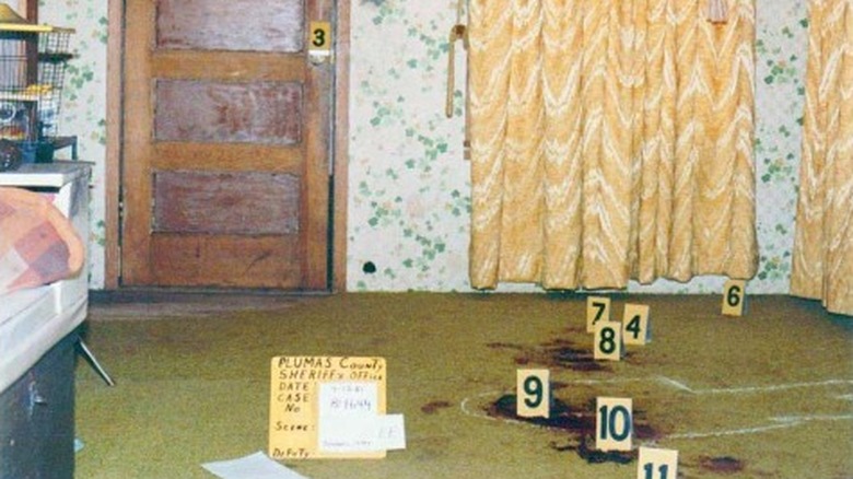 Keddie cabin interior