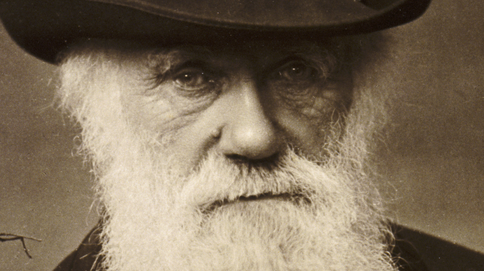 The Mystery Of Charles Darwin's Stolen Notebooks