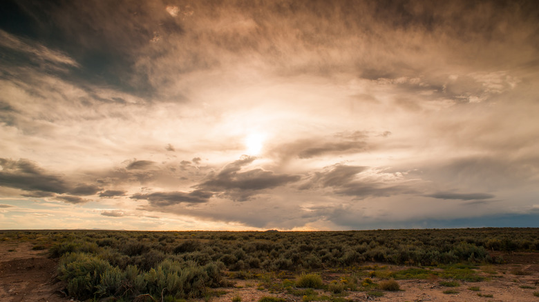 New Mexican desert scene