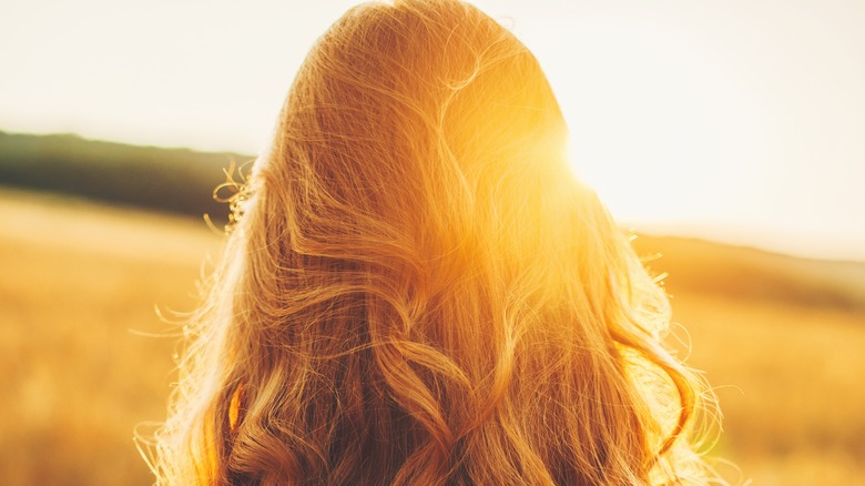 Woman with golden hair, in a cornfield.