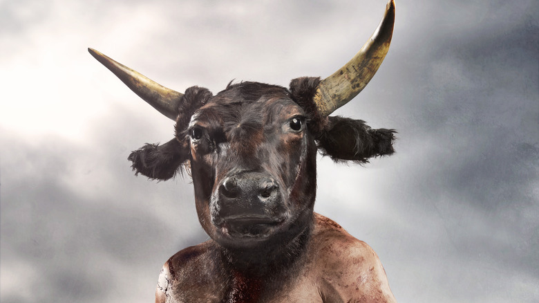 minotaur concept photo